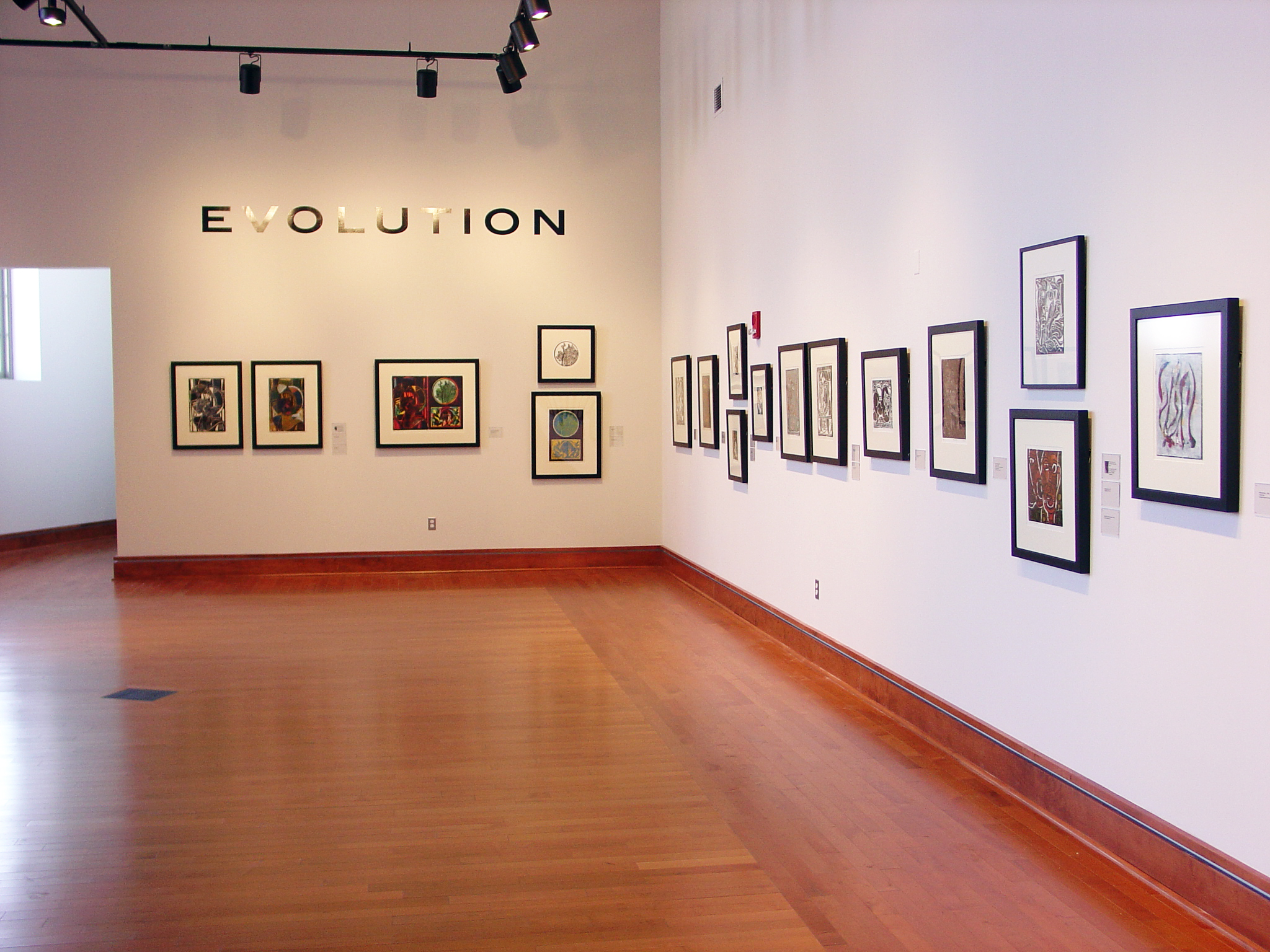 Evolution installation image