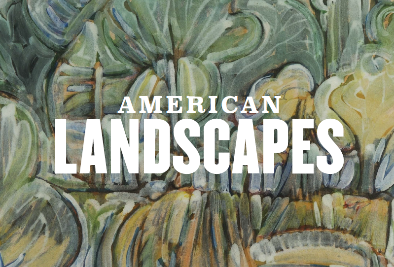 American Landscapes inset