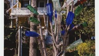 Multi-color bottles on a tree